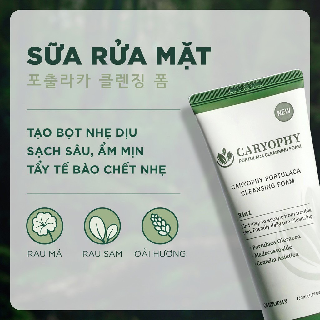 MINI SIZE Sữa rửa mặt giảm mụn Caryophy Portulaca Cleansing Foam 30ml