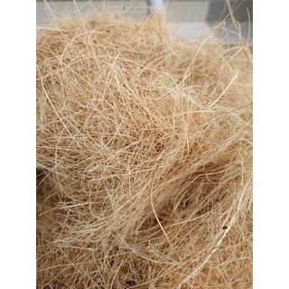 Xơ dừa chỉ trồng hoa lan 500gr