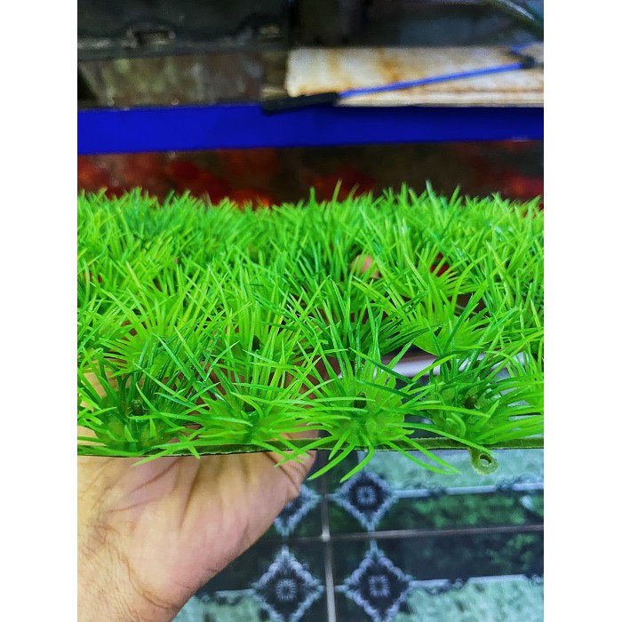 THẢM CỎ KIM NHÂN TẠO TRANG TRÍ HỒ CÁ NON BỘ 25X25CM