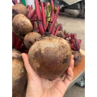 Củ dền 1kg