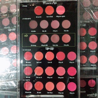 Bảng Son 26 mầu ROHTO chính hãng