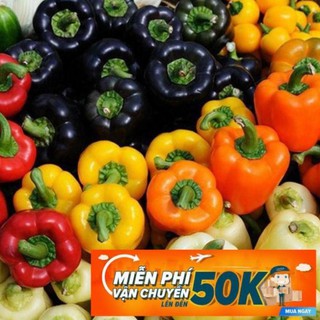 10 Hạt giống Ớt chuông mix (tặng gói kích nẩy mầm và hướng dẫn)
