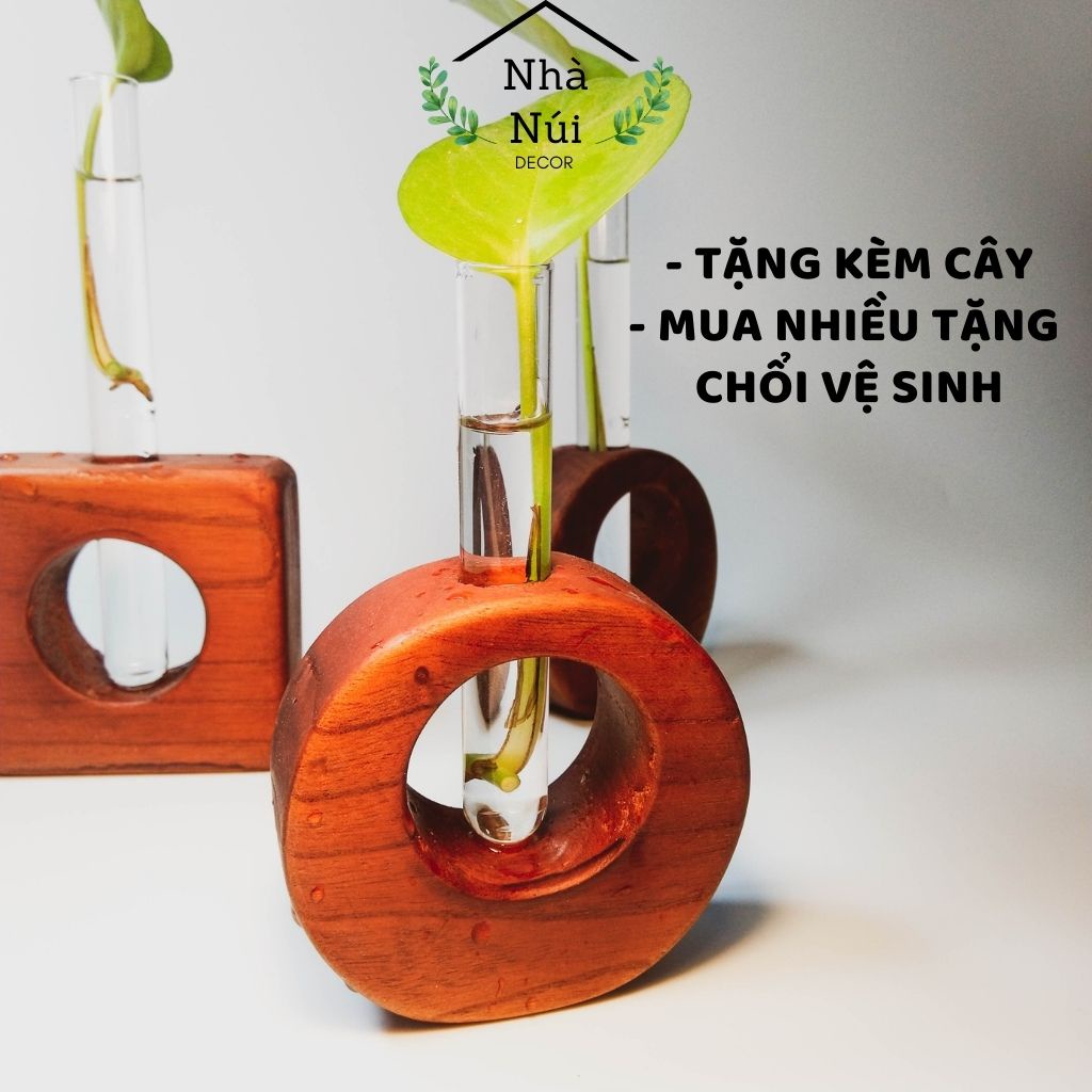 Kệ khung gỗ để bàn decor trang trí nghệ thuật bàn làm việc, văn phòng, gắn ống nghiệm trồng cây thủy sinh, hoa khô  A12