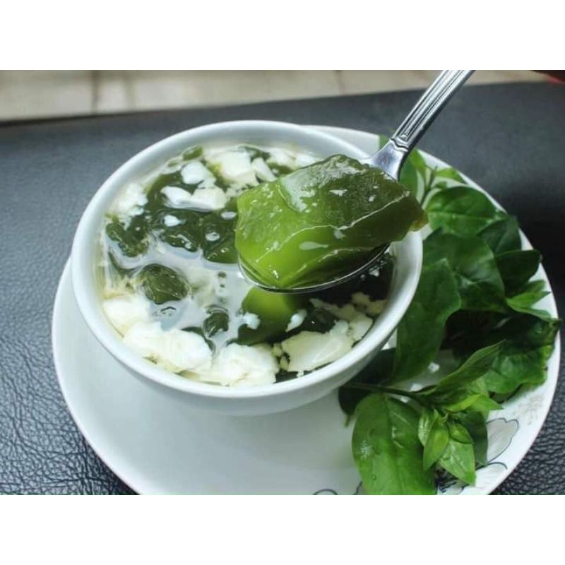 Bột thạch lá găng  500g