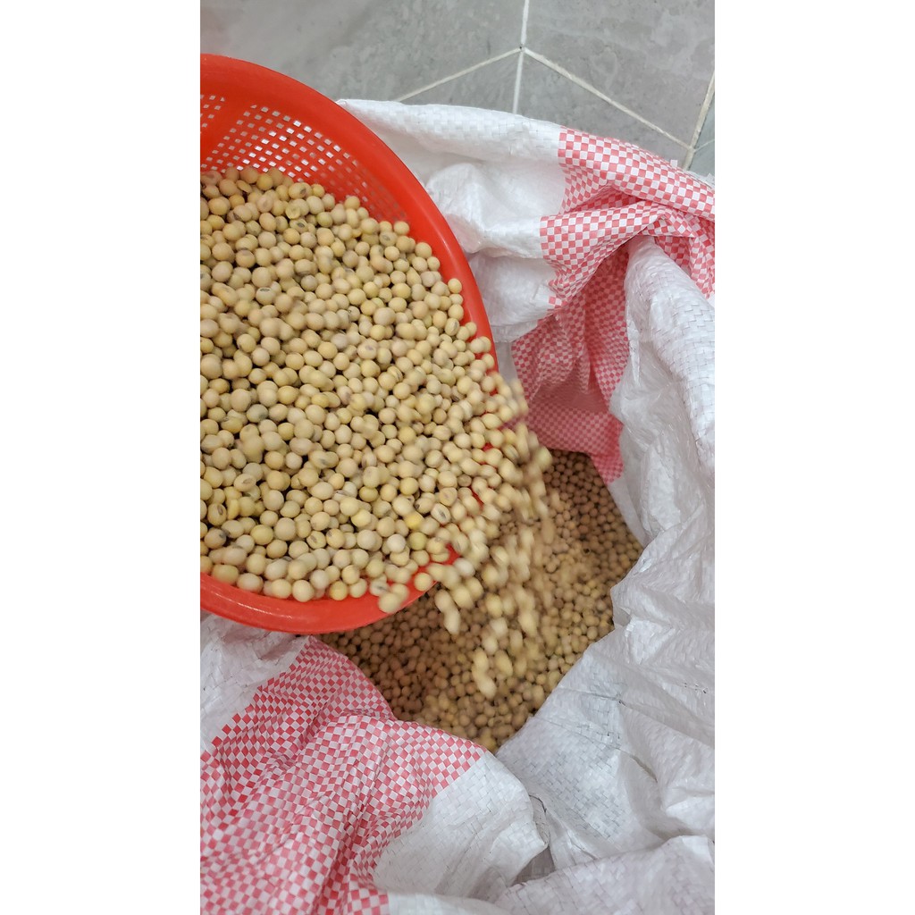 Đậu nành - Đậu tương nhập Mỹ, Canada loại 1Kg | Bếp Nhà Đậu - Thế giới ăn vặt - Ăn sập Sài Gòn. | BigBuy360 - bigbuy360.vn