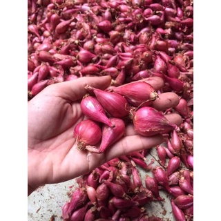 Hành Tím Lý Sơn size trung 1kg chắc củ