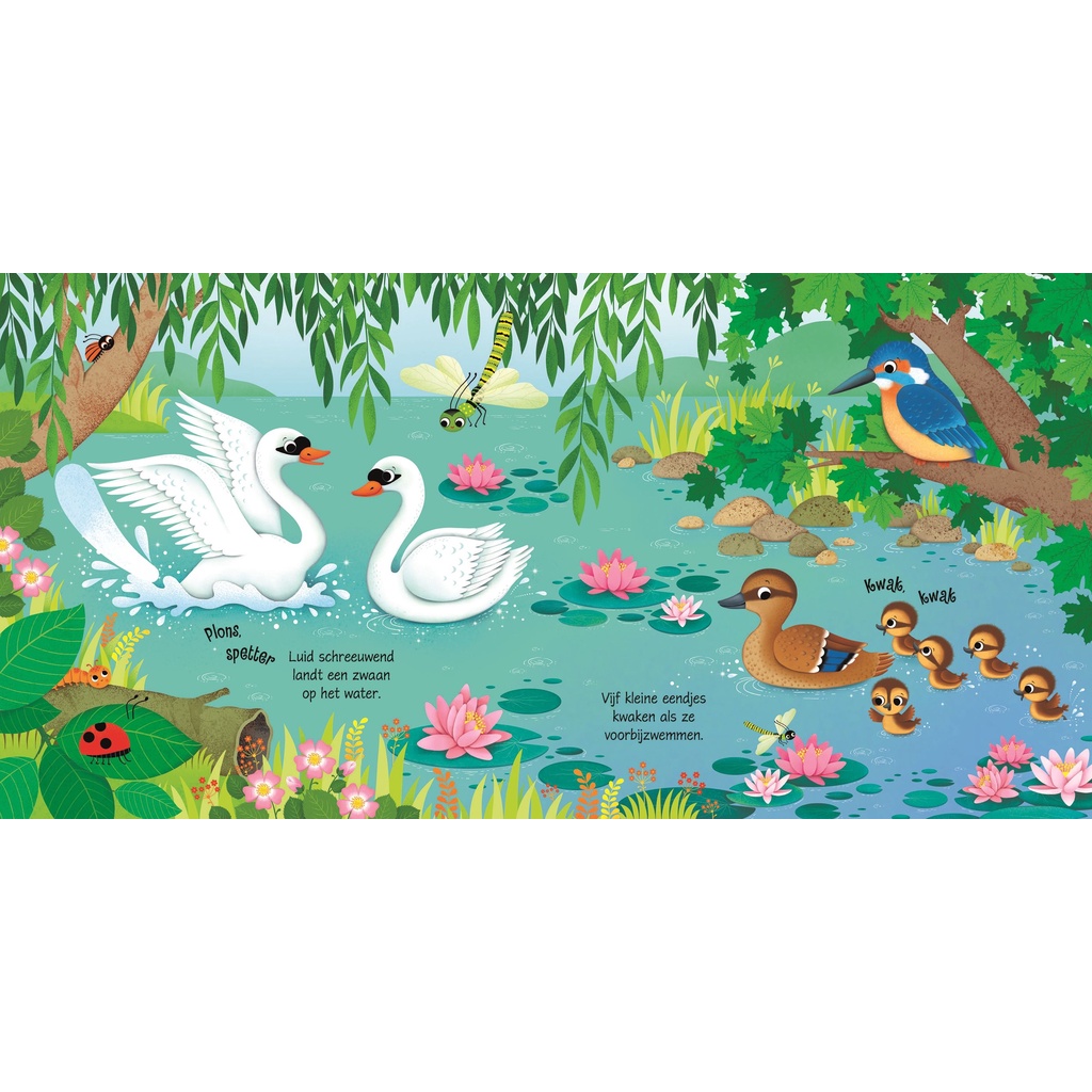 Sách âm thanh Usborne - Bird Sounds - Tiếng chim hót cho bé