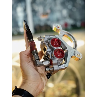 heo 81 hổ trợ bat heo full xe