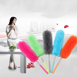1 Chổi Lông Gà Quét Bụi Cầm Tay