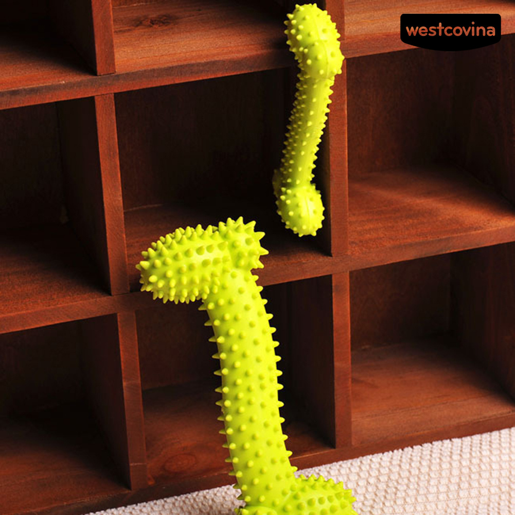 Đồ Chơi Gặm Hình Khúc Xương Bằng Tpr Cho Thú Cưng