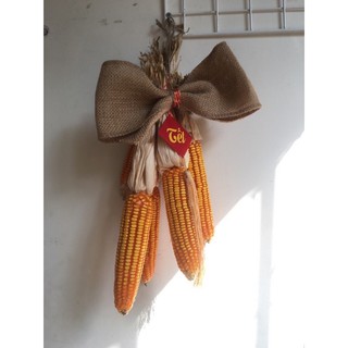 Trái bắp khô,ngô khô trang trí , decor Tết