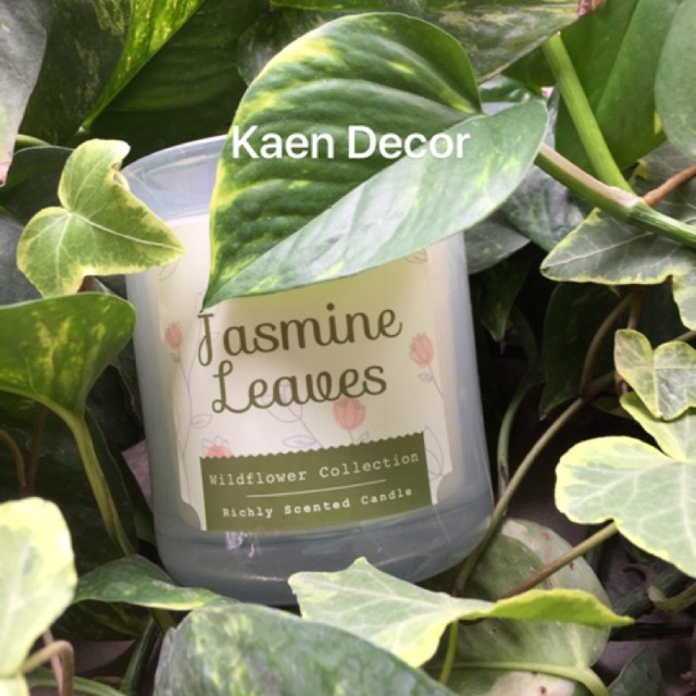 Nến thơm Jasmine Leaves