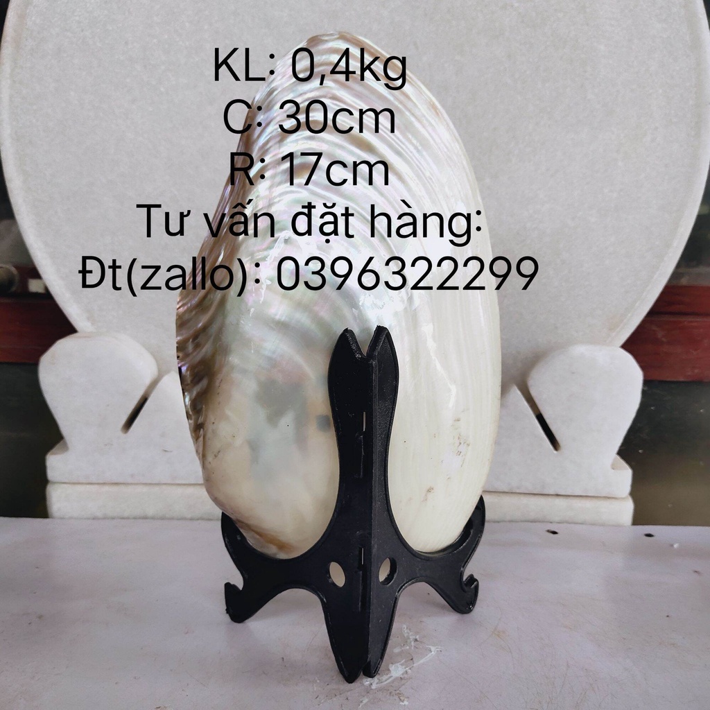 Thư pháp trên vỏ ngọc trai tự nhiên,, viết thư pháp theo yêu cầu quý khách hàng