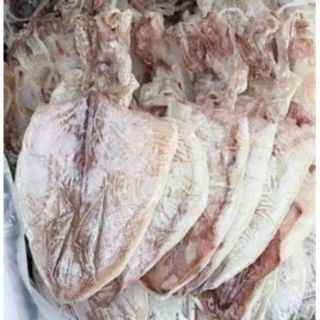 120K/ 20 CON MỰC KHÔ trong túi hút chân không