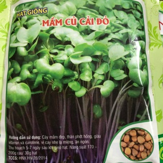 Hạt giống Rau Mầm Củ Cải Đỏ 🌱