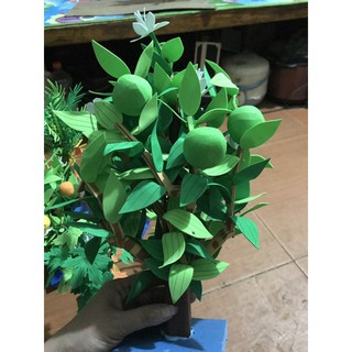 cây xanh đồ dùng mầm non