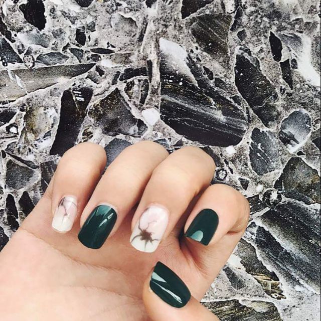 Combo 6 bộ nail
