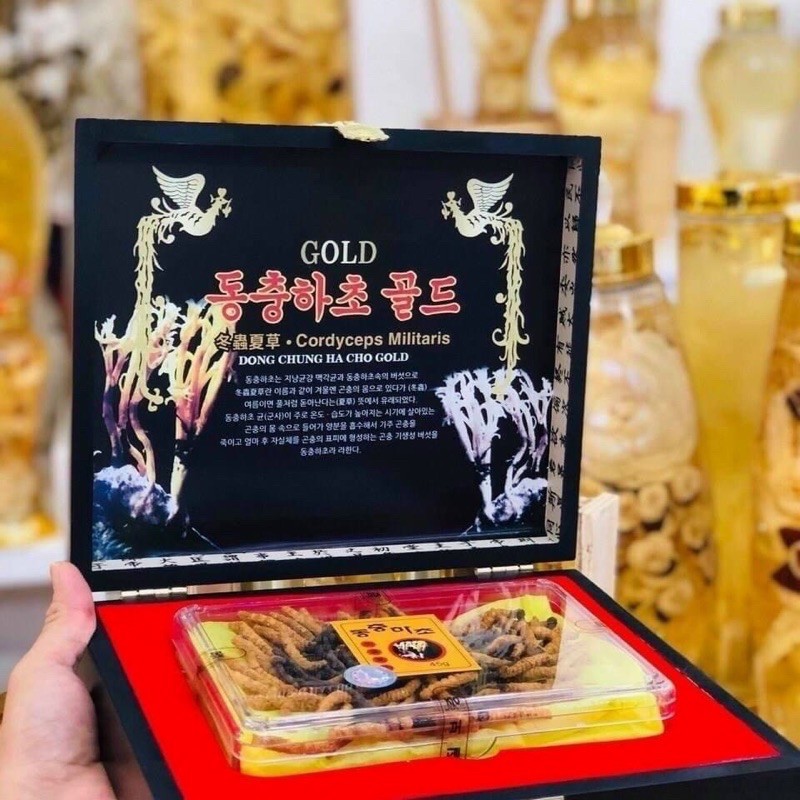 ĐÔNG TRÙNGL 45g HÀN QUỐC | BigBuy360 - bigbuy360.vn