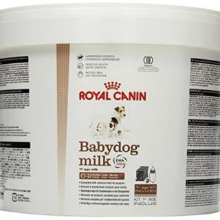 Sữa bột Royal Canin cho chó - 2kg