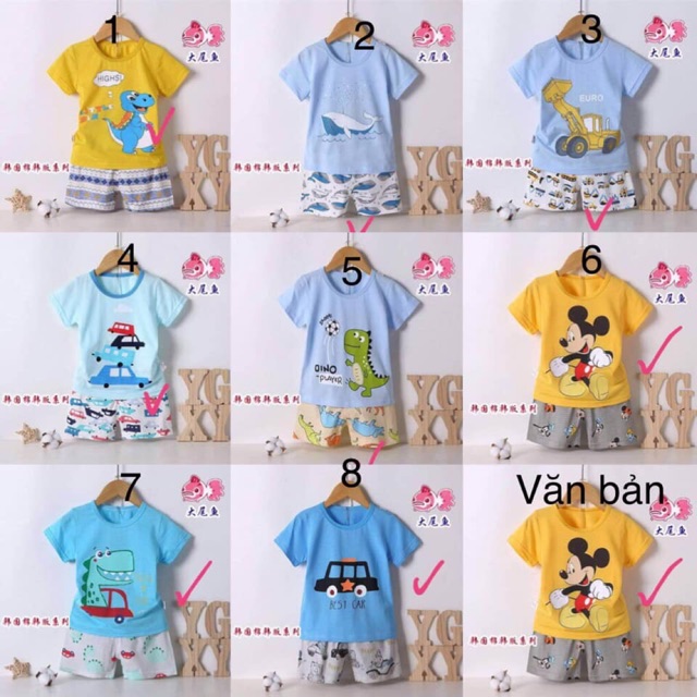 Bộ cotton tre xuất Hàn hàng Quảng Châu