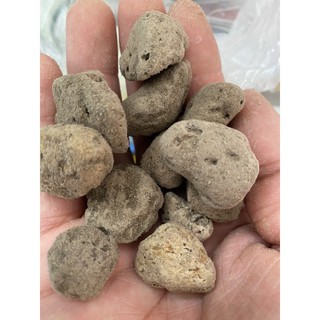 Đá bọt núi lửa Indo Pumice trồng lan, giữ ẩm tốt túi 1.0kg