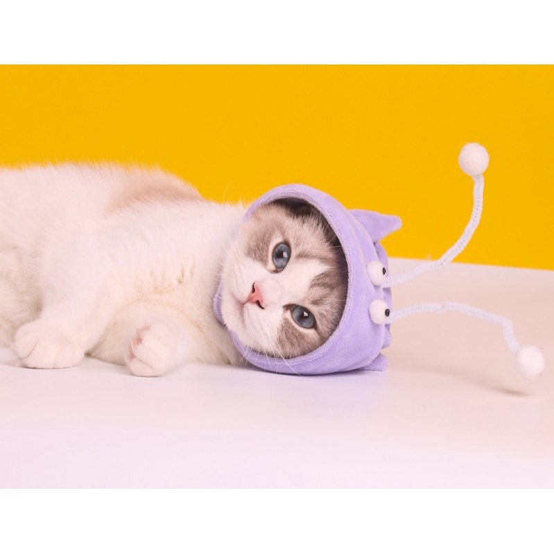 nón chó mèo nhiều mẫu - thích hợp chó con và mèo con dưới 4kg