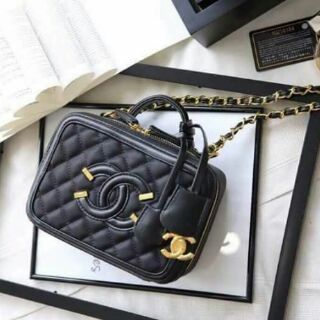 Chanel case