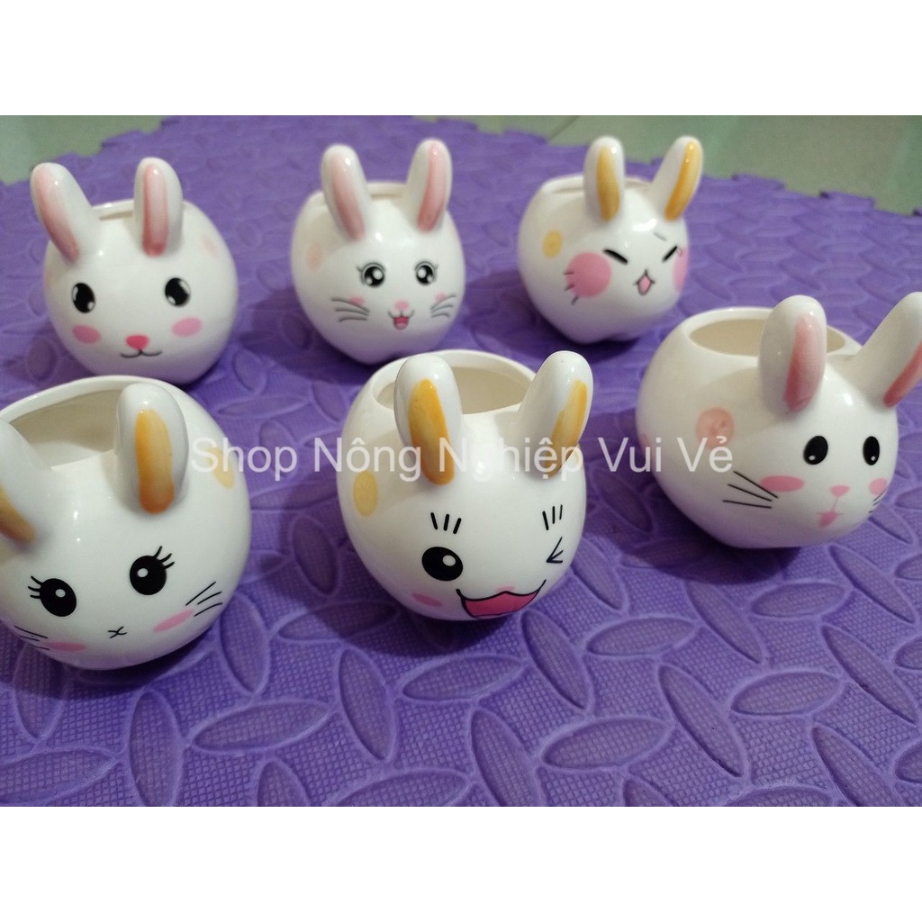 Chậu sứ mini trồng cây để bàn hình thỏ - Chậu trồng cây xương rồng, sen đá nhỏ