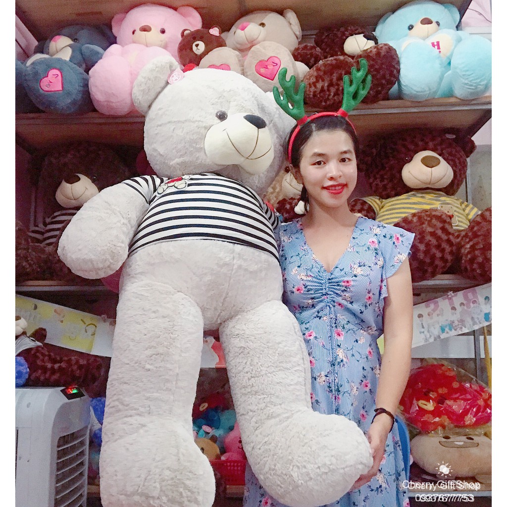 Gấu Bông Teddy Cao Cấp Giá Sốc 1m5 Ảnh Shop Chụp