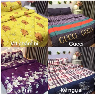 Chăn phao siêu nhẹ poly