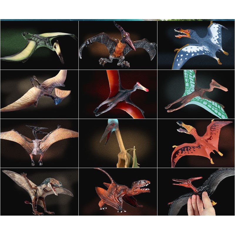 Bộ 16 Dực Long Pterosaur ( khủng long bay thời tiền sử )