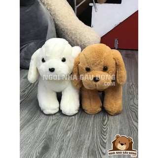 CHÓ BÔNG NGỒI