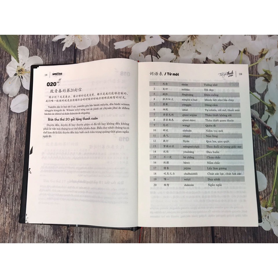 Sách - combo: 999 Bức Thư Viết Cho Chính Bạn + Gửi tôi thời thanh xuân - Song ngữ Trung Việt có phiên âm + DVD tài lệu