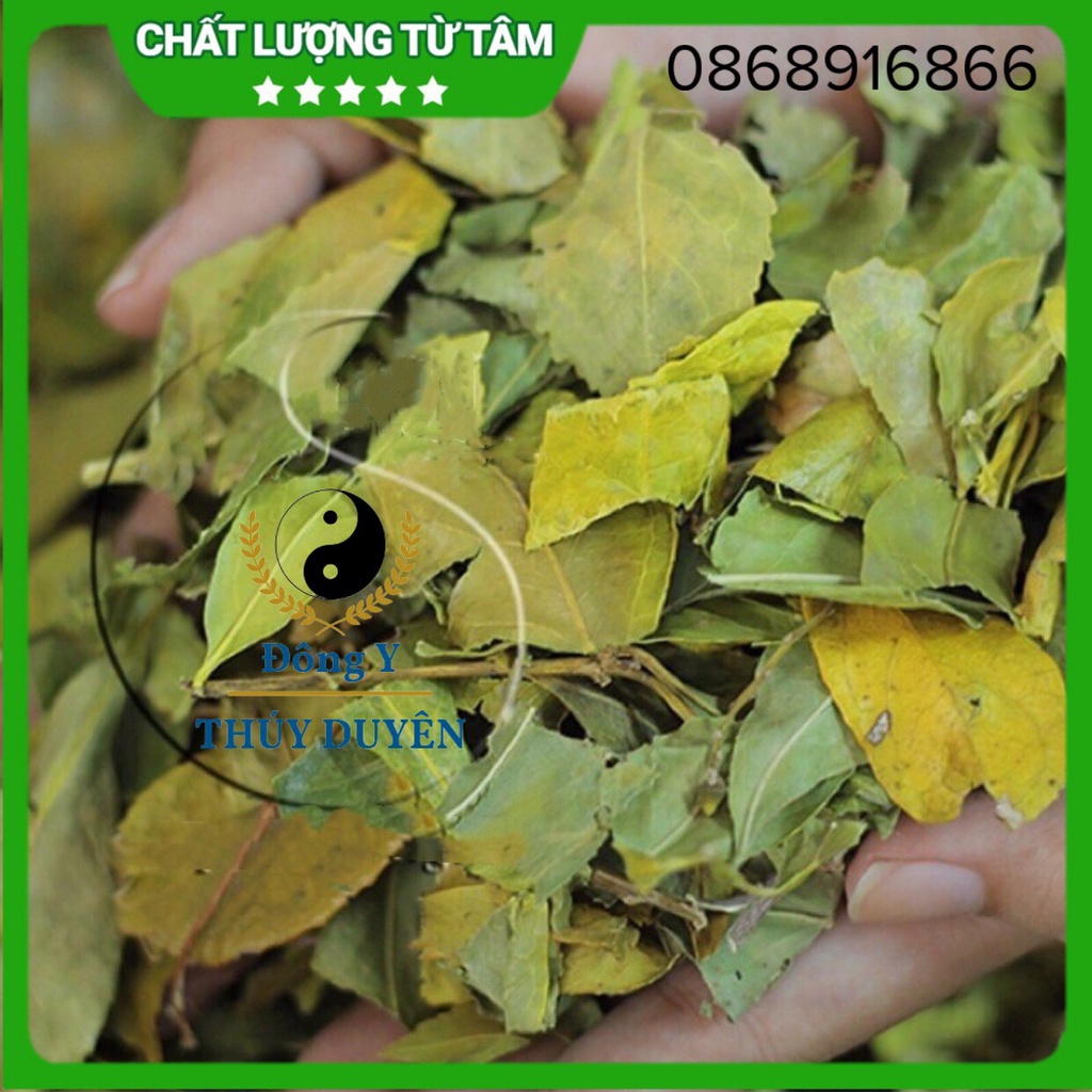 [Giá sốc] 1kg Chè Dung ( Hàng chất lượng loại 1)