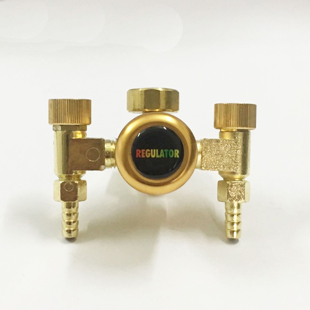 Đồng Hồ Argon Tiết Kiệm Khí 2 Vòi Ra.