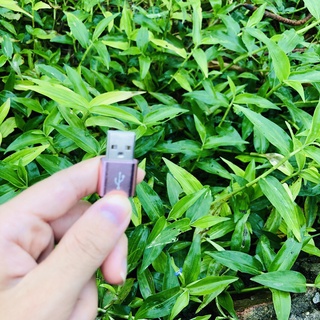 cáp sạc ngắn 20cm 30cm dây dù micro usb typec iph