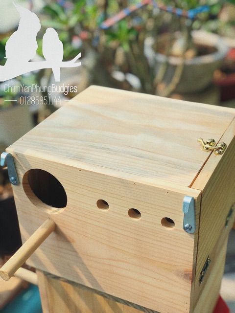 Tổ đẻ vẹt Lovebird (Vẹt tình yêu) mẫu cơ bản.