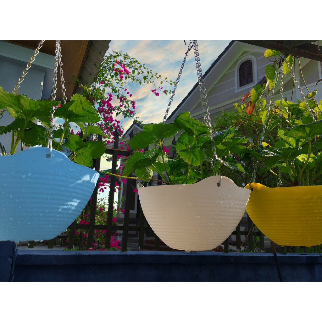 CHẬU TREO BAN CÔNG