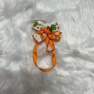 Phụ kiện cho chó mèo