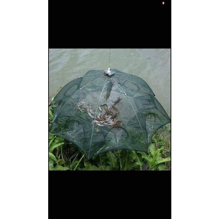 Lưới bát quái bắt cá 8 lỗ