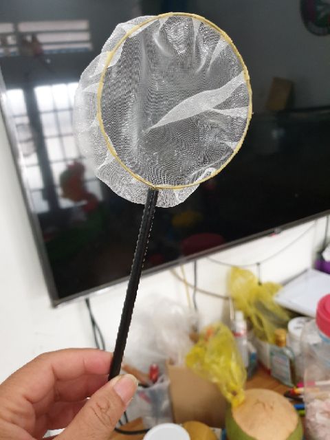 Vợt show cá siêu vip