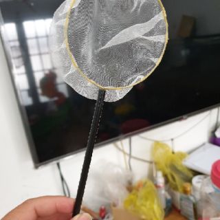 Vợt show cá siêu vip