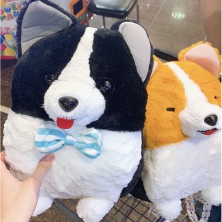 Chó Corgi bông nhe răng hàng Amu chuẩn sịn