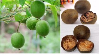 Quả la hán