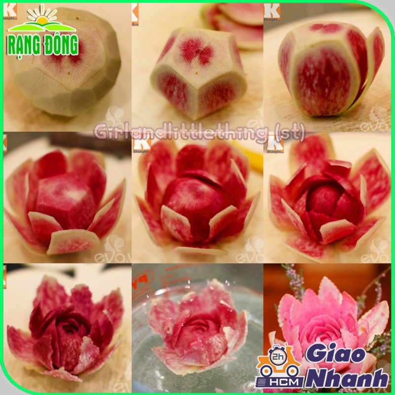 Hạt giống Củ Cải Ruột Hồng dễ trồng, sinh trưởng khỏe, ít sâu bệnh (gói 1 gr) - Hạt giống Rạng Đông