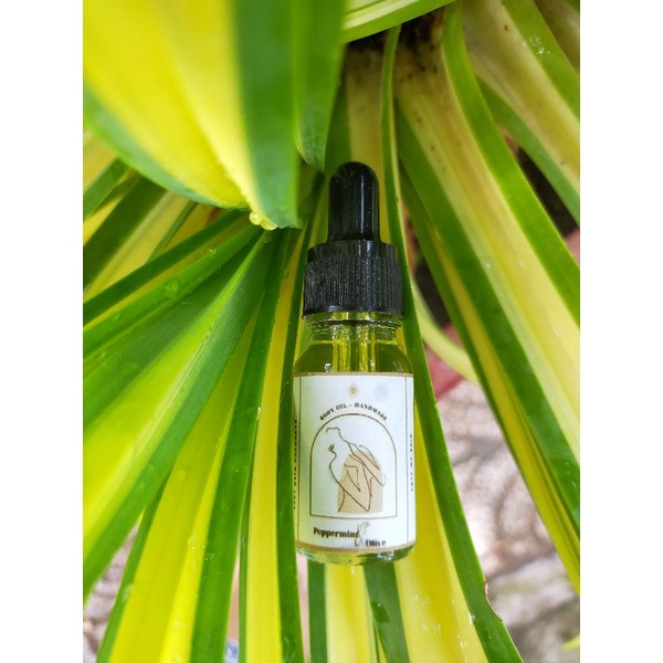 Tinh dầu massage nở ngực hương bạc hà handmade 10ml