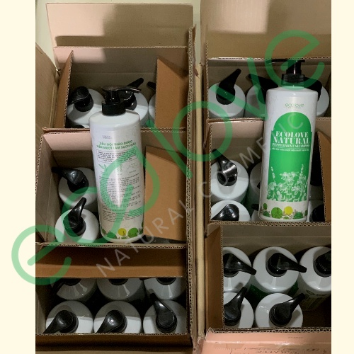 Cặp dầu gội hấp Ecolove phục hồi, giúp tóc mềm mượt, sạch gàu 1000ml/chai