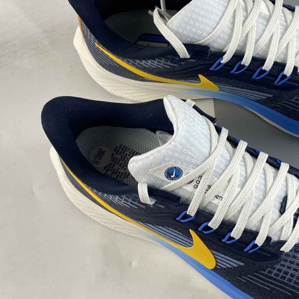 Giày Thể Thao Nike Pegasus 39