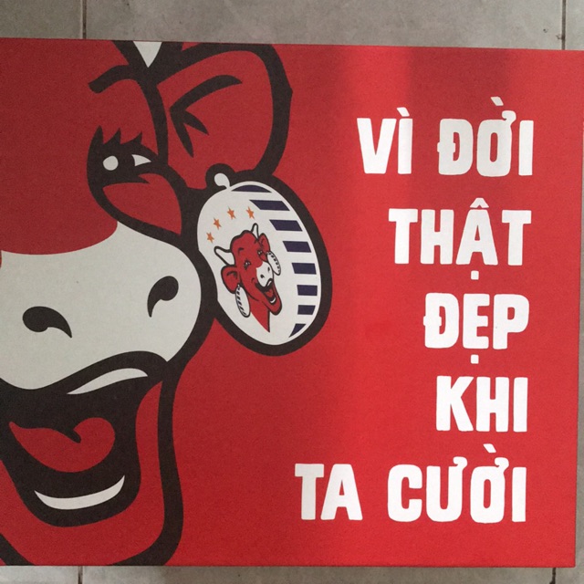 Thùng gấu bông bò cười
