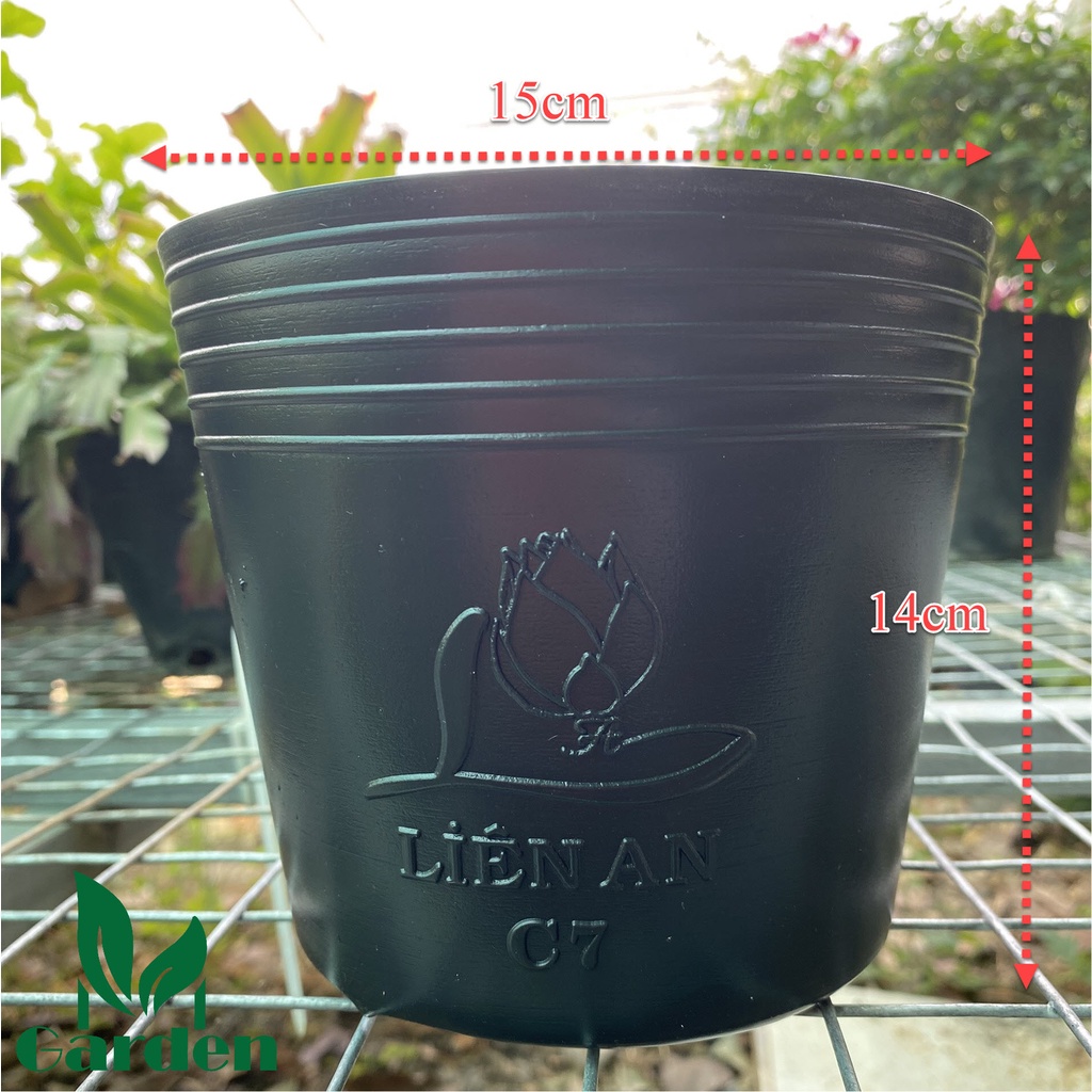 Chậu nhựa đen dẻo trồng và ươm cây C7  - Liên An